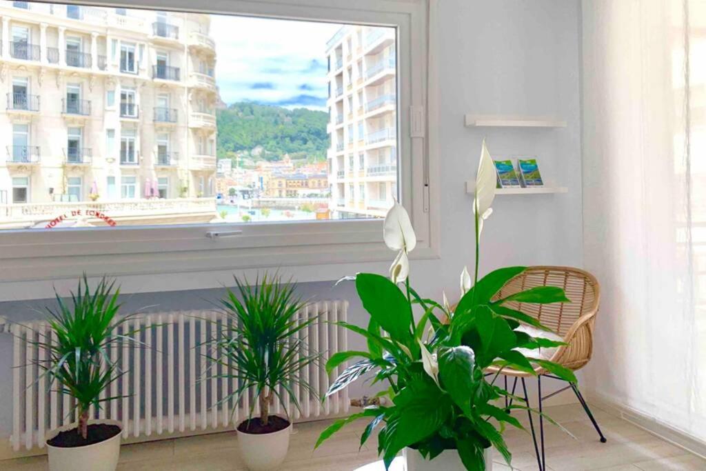 New Gorgeous Central Apartment - Beachfront - 3 Bd San Sebastian Ngoại thất bức ảnh